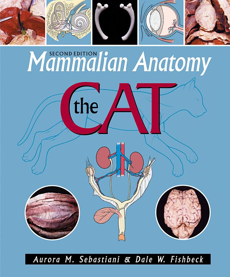 Mammalian Anatomy: The Cat